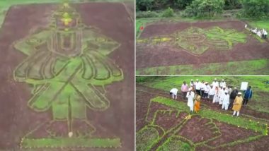 Ashadhi Ekadashi 2024 Viral Video: 120-Foot Image of Lord Vitthal Made in Paddy Field by Farmer in Pune's Mulshi Village, Watch Clip