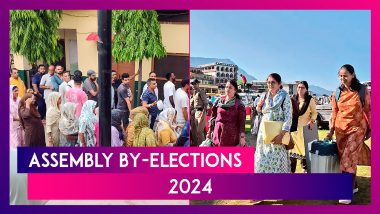 Assembly By-Elections 2024: Voting Held in 13 Seats Across 7 States, Amarwara Records Highest Polling Percentage Till 3 PM
