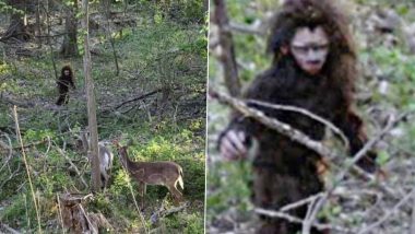 ‘Baby Bigfoot’ Caught on Camera! Old Photo of the Mythical Creature in the Woods Startling Deer Goes Viral