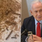 Benjamin Netanyahu US Visit: Pro-Palestine Protesters Allegedly Place Mealworms and Maggots on Dining Table, Release Crickets at Watergate Hotel Ahead of Israeli PM’s Address to Congress (Watch Videos)