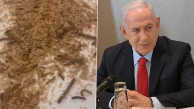 Benjamin Netanyahu America Visit: Ahead of Israeli PM’s Address to US Congress, Pro-Palestine Protesters Allegedly Released Maggots at Washington DC Hotel (Watch Videos)