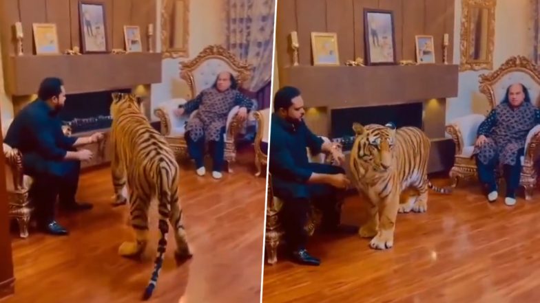 Chahat Fateh Ali Khan of 'Bado Badi' Fame Gets Scared of Tiger, Pakistani Singer’s Old Viral Video Resurfaces Online (Watch)