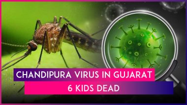 Chandipura Virus in Gujarat: 6 Children Die of Suspected Virus Infection Since July 10, Health Minister Says Department Working Round-the-Clock To Prevent Outbreak