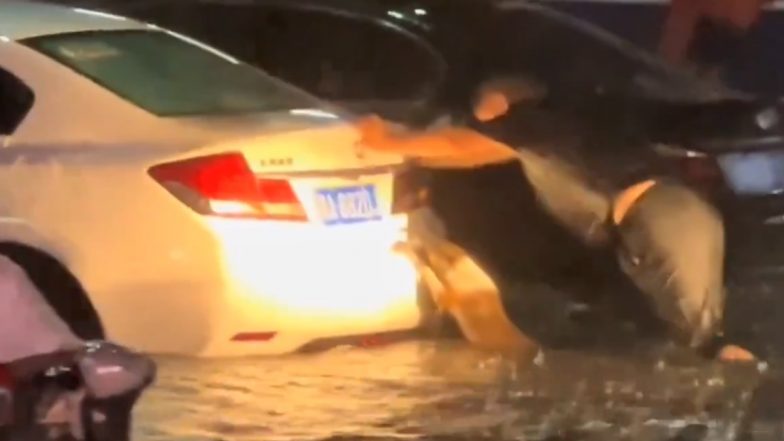 Heartwarming Video of a Dog Helping a Man Push His Car After It Broke Down Due to Floods and Heavy Rains in Zhengzhou, China Will Make You Smile (Watch Viral Video)