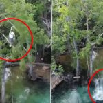 US: Man Falls 60 Feet Into Florida Creek After Tree Branches Break, Miraculously Survives With Minor Injuries (Watch Video)