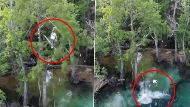 US: Man Falls 60 Feet Into Florida Creek After Tree Branches Break, Miraculously Survives With Minor Injuries (Watch Video)