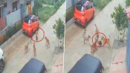 Dog Attack in Telangana: Stray Dogs Attack Child Playing Outside Home in Sangareddy, Video Surfaces