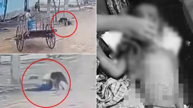 Dog Attack in Telangana: 7-Year-Old Boy Attacked by Stray Dog in Jagtial, Injured; Video Surfaces