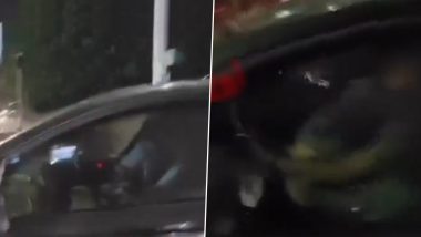 Couple Kissing in Nagpur Video: Man Driver Car While Kissing Girlfriend Sitting on His Lap, Booked After ‘Obscene Act’ Caught on Camera