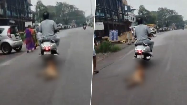 Animal Cruelty in Karnataka: Dog Tied to Scooter, Dragged on Road in Udupi; Case Registered Against Accused After Disturbing Video Surfaces