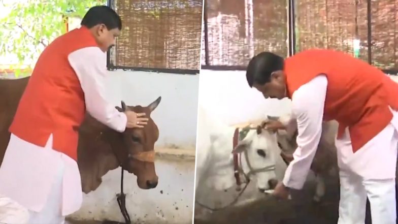 Madhya Pradesh CM Mohan Yadav Performs Gau Pooja on Guru Purnima 2024 in Bhopal (Watch Video)