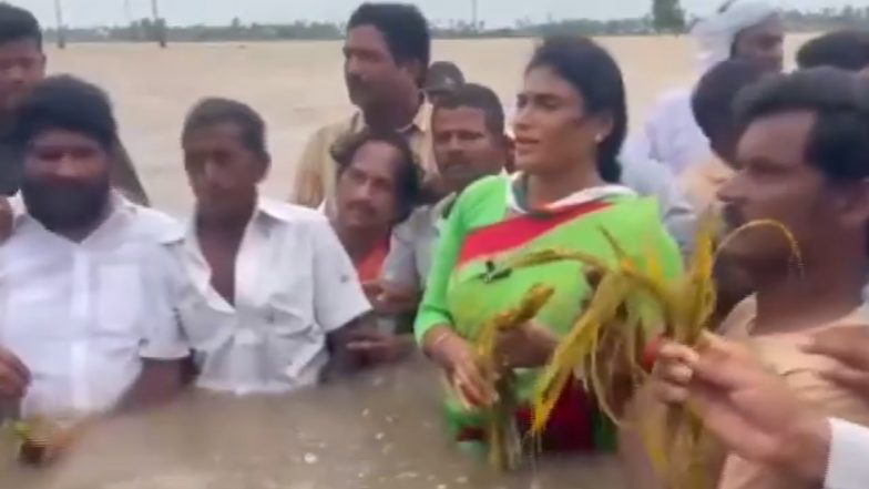 YS Sharmila Goes Waist-Deep Into Water to Highlight Flood Crisis in Andhra Pradesh, Urges Debt Relief for Farmers (Watch Video)