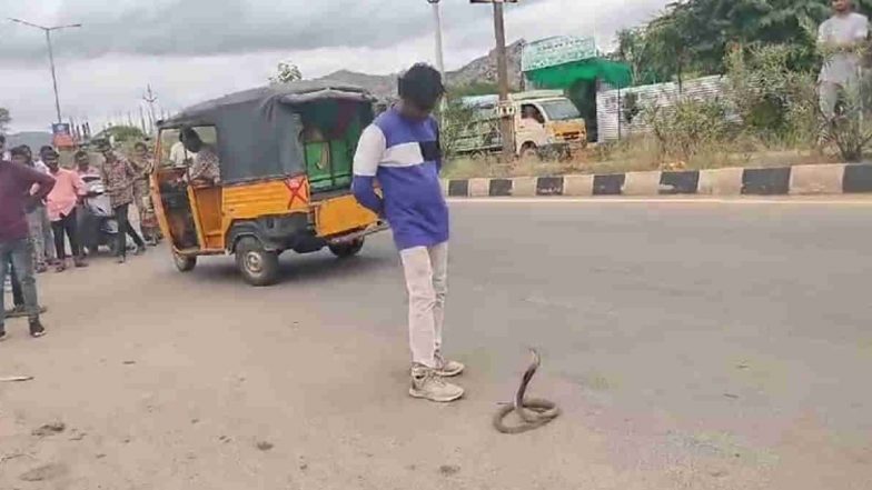 Nagaraju vs Nagraj: Drunk Man ‘Plays’ With Cobra in Kadiri, Lands in Hospital After Snake Bites Him (Watch Video)