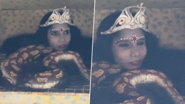 'Icchadhari Naagin' at Desi Mela! This Funny Video of Revellers Getting Excited to See 'Shape-Shifting Snake Girl' Will Leave You in Splits (Watch)