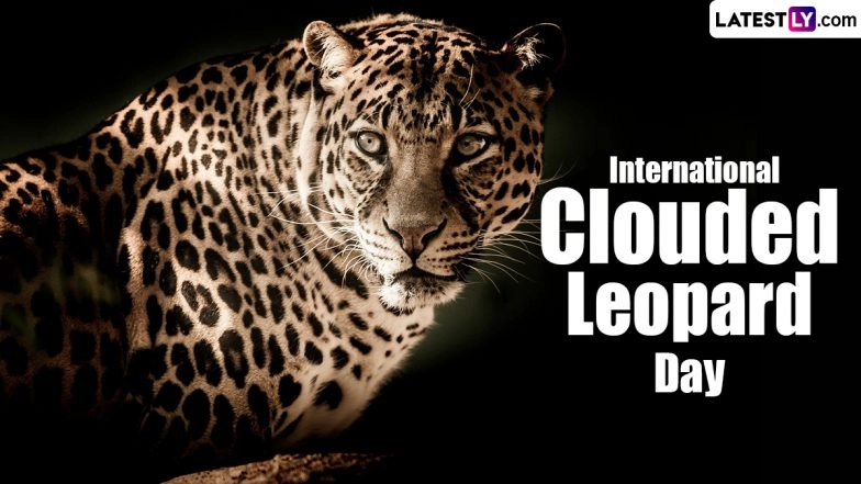 International Clouded Leopard Day 2024 Date and Significance: Here's