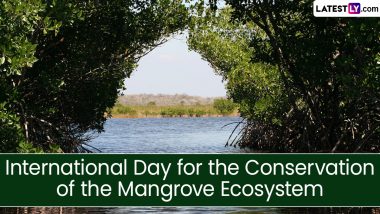 International Day for the Conservation of the Mangrove Ecosystem 2024 Date: Know Significance of the Day That Raises Awareness on the Conservation of Mangrove Ecosystem