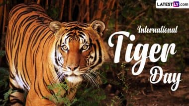 International Tiger Day 2024 Date: Know Significance of the Day Dedicated to Raising Awareness About Tiger Conservation and Protect the Big Cats