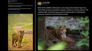 International Tiger Day 2024 Pictures and Videos: Netizens Flood X With Images, Messages, Quotes and Sayings To Raise Awareness About the Majestic but Endangered Animal