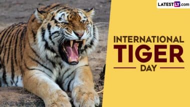 International Tiger Day 2024: From Tiger Population in India to Declaration of New Tiger Reserves, A Global Commitment to Tiger Conservation