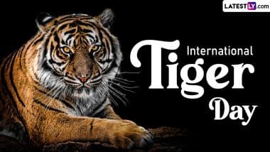 When is International Tiger Day 2024? Know Date, History and Significance of the Day That Raises Awareness About Tiger Conservation