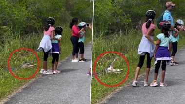 Parents Force Their Children To Pose Dangerously Close To Open-Mouthed Alligator for a Photo in Everglades National Park in US, Old Video Resurfaces Online (Watch)