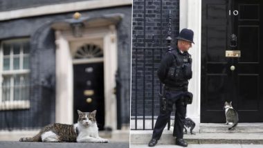 Larry the Cat Awaits New 10 Downing Street Resident, Keir Starmer As Rishi Sunak Steps Down, Catherine Zeta-Jones Shares Pictures (View viral Post)