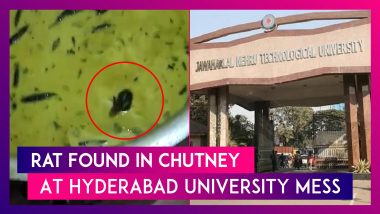 Live Rat Found Swimming in Chutney Served at JNTU Hostel Mess in Hyderabad, Video Goes Viral