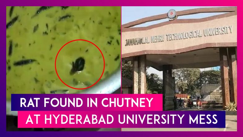 Live Rat Found Swimming in Chutney Served at JNTU Hostel Mess in Hyderabad, Video Goes Viral