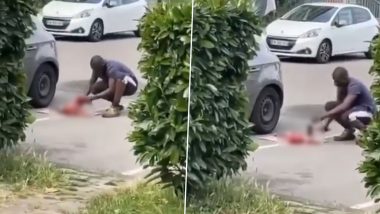 Paris Animal Cruelty: Man Dismembers a Cat on the Streets of France, Disturbing Video Shows Feline Being Slaughtered to Death