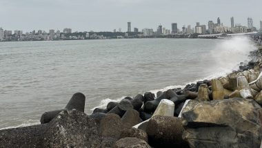 Mumbai Shocker: Woman Working in IT Firm Dies by Suicide by Jumping Into Sea off Marine Drive