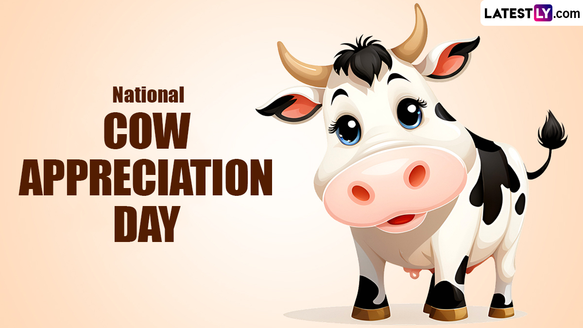 National Cow Appreciation Day 2024 India Jammie Chantalle