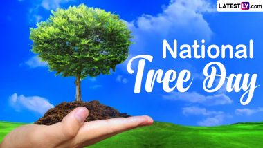 National Tree Day 2024 Date: Know History and Significance of Australia's Largest Tree Planting and Nature Care Event