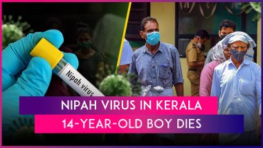 Nipah Virus: 14-Year-Old Boy Under Treatment in Kerala Dies Due to the Infection