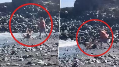 Pickpocket Brutally Beaten Up With Stick on Los Abrigos Beach in Spain's Tenerife Island After Tourist Catches Him Trying To Steal His Wallet (Watch Video)