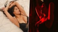 Poonam Pandey Photos: From Bold Outfits to Lingerie, 'Nasha' Actress' Style Is Extremely Sexy!