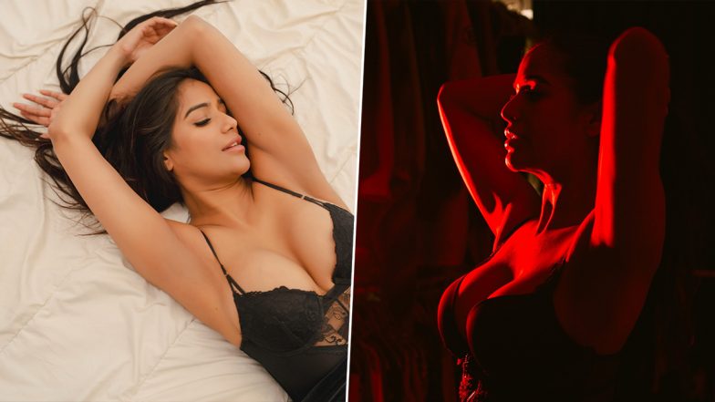 Poonam Pandey XXX-Tra Hot Photos: From Bold Outfits to Lingerie, 'Nasha' Actress' Style Is Extremely Sexy!