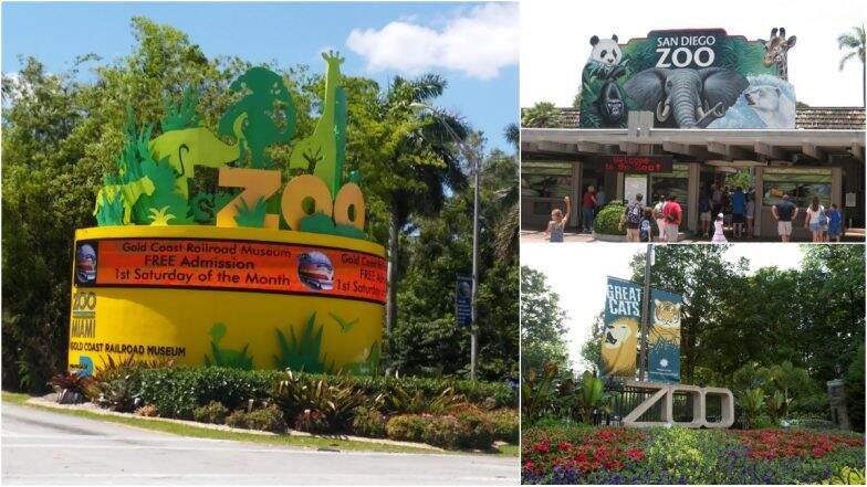 Popular Zoos To Visit and Celebrate American Zoo Day 2024