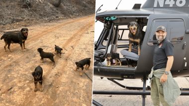 Pups and Mom Saved From California Wildfire: BCSO Member Trevor Skaggs Rescues Rottweiler Family of Dogs Stuck in Abandoned Truck Amid Raging Park Fire, Pictures and Video Will Melt Your Heart