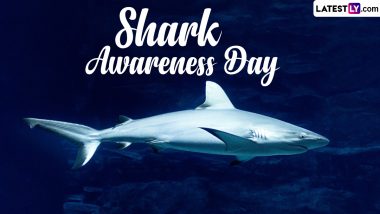 Shark Awareness Day 2024 Date: Know the Significance of the Day That Highlights the Need for the Conservation of Sharks