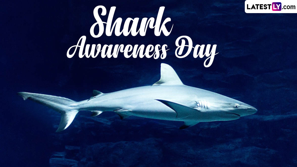 Festivals & Events News When Is International Shark Awareness Day