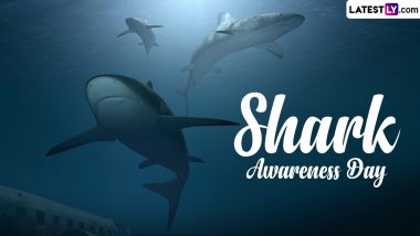 Shark Awareness Day 2024 Facts: From Being Colourblind to Having Excellent Memory, Here Are Some Mind-Blowing Facts About Sharks