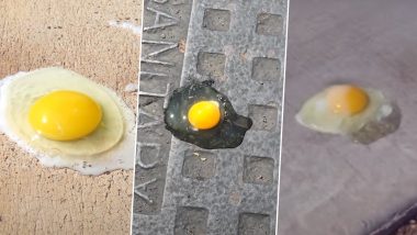 Sidewalk Egg Frying Day 2024: Old Viral Videos of People Frying Eggs on Sidewalks and Roads to Raise Awareness About Excessive Heat