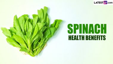 Spinach Health Benefits for Fresh Spinach Day 2024: Rich in Iron, Lowers Blood Pressure and Heart Health - 8 Reasons You Should Add More Spinach Into Your Diet