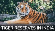 International Tiger Day 2024: From Jim Corbett National Park to Sundarbans, 5 Tiger Reserves in India To Spot the National Animal and Celebrate the Day