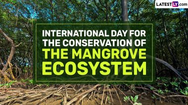 World Mangrove Day 2024 Quotes and Slogans: Share HD Images, Wallpapers and Nature Captions on International Day for the Conservation of the Mangrove Ecosystem