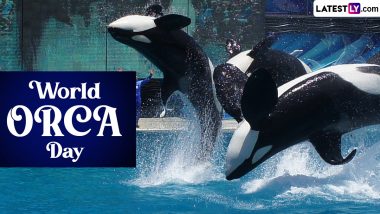 World Orca Day 2024 Date, History and Significance: All You Need To Know About the Day That Highlights the Need To Protect the Killer Whales