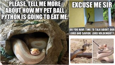 World Snake Day 2024 Funny Memes and Jokes: A Slithery Celebration of the Reptile and the ‘Snakes’ of Our Lives via Hilarious Posts