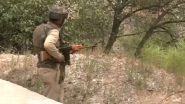 Doda Encounter: Gunfight Breaks Out Between Security Forces and Terrorists in Jammu and Kashmir (Watch Video)