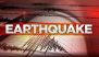 Earthquake in Meghalaya: Mild Quake of Magnitude 3.6 on Richter Scale Hits West Jaintia Hills