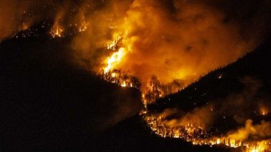 Wildfires in US: Wildfire in Jasper National Park Could Burn for Months, Canadian Official Says